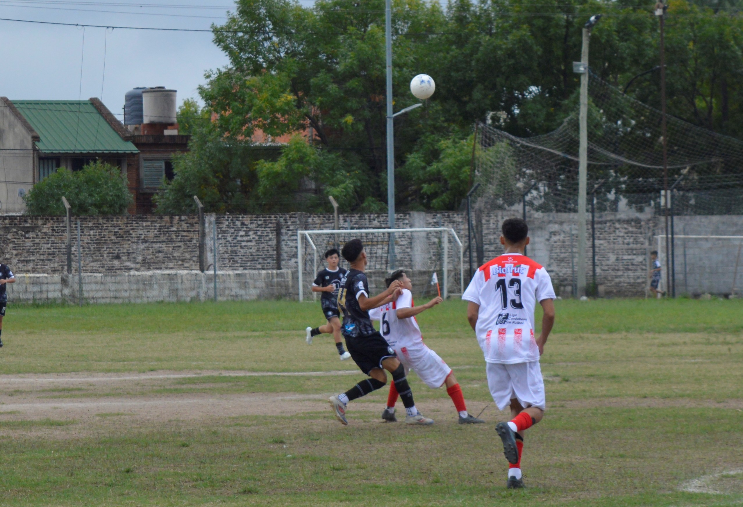 Imagen 3